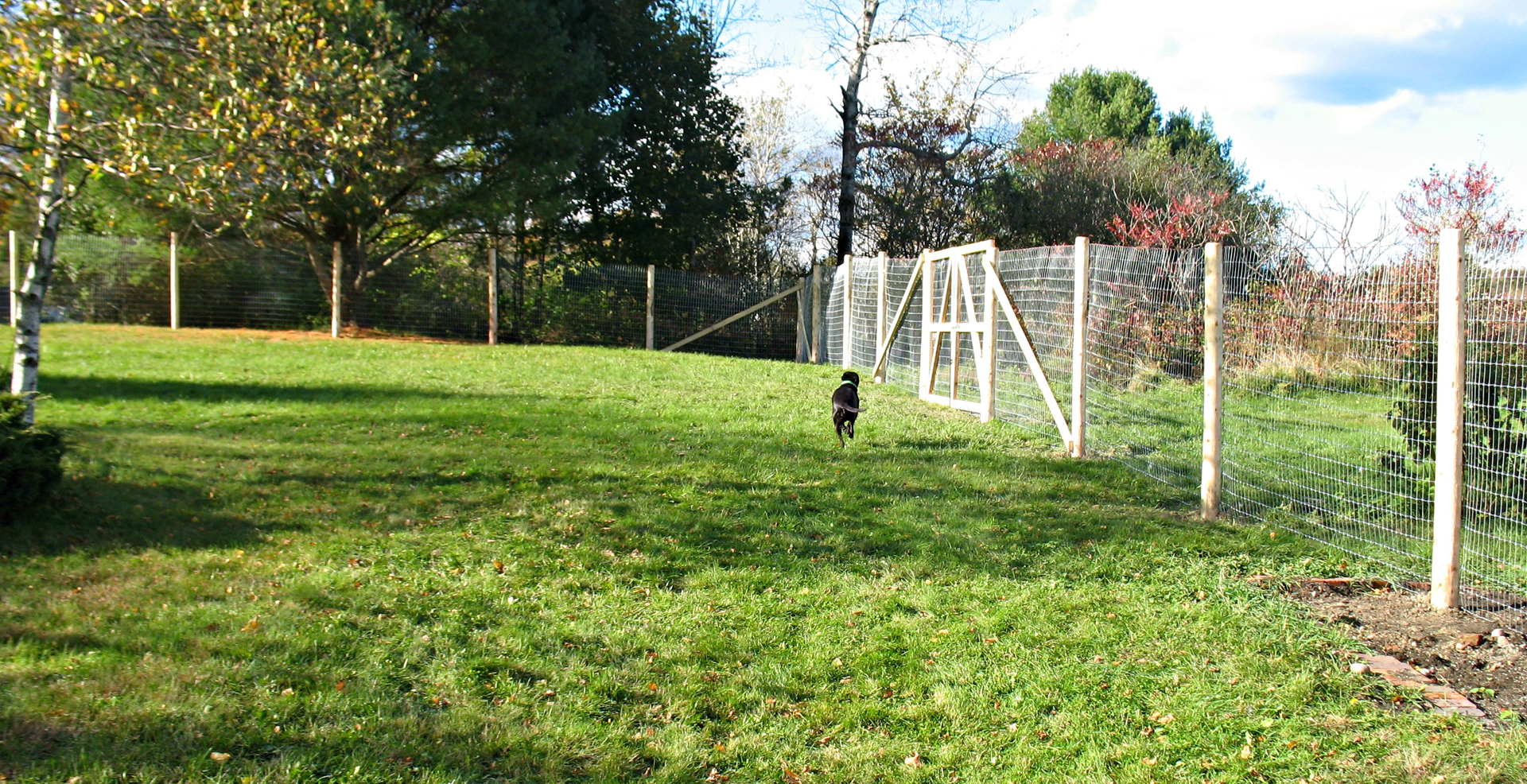 Contemplate kennel